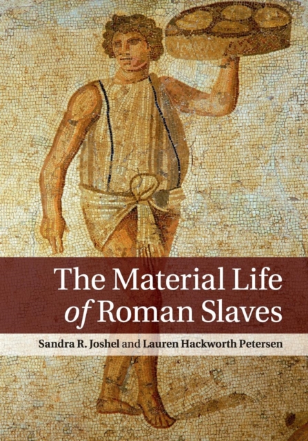 The Material Life of Roman Slaves, Paperback / softback Book