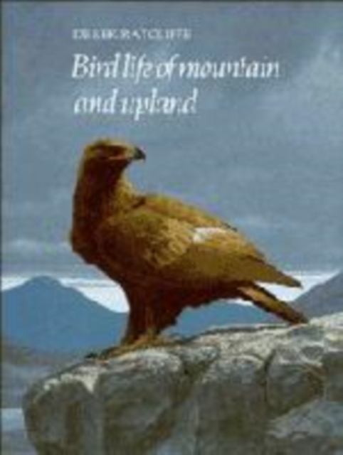 Bird Life of Mountain and Upland, Paperback / softback Book