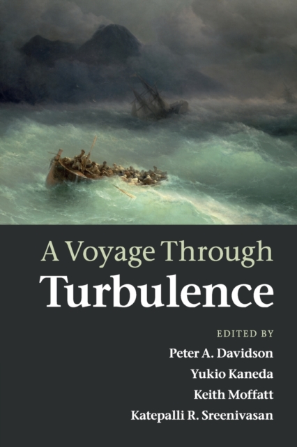 A Voyage Through Turbulence, Paperback / softback Book