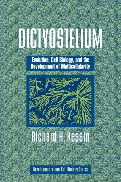 Dictyostelium : Evolution, Cell Biology, and the Development of Multicellularity, Paperback / softback Book