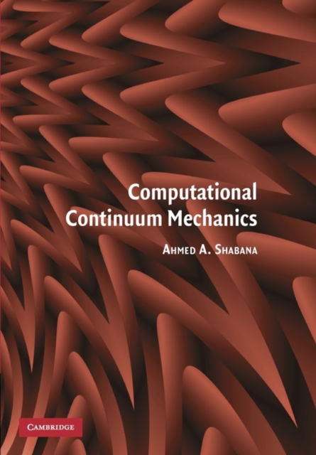 Computational Continuum Mechanics, Paperback / softback Book