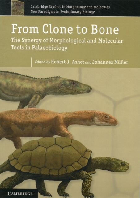 From Clone to Bone : The Synergy of Morphological and Molecular Tools in Palaeobiology, Paperback / softback Book