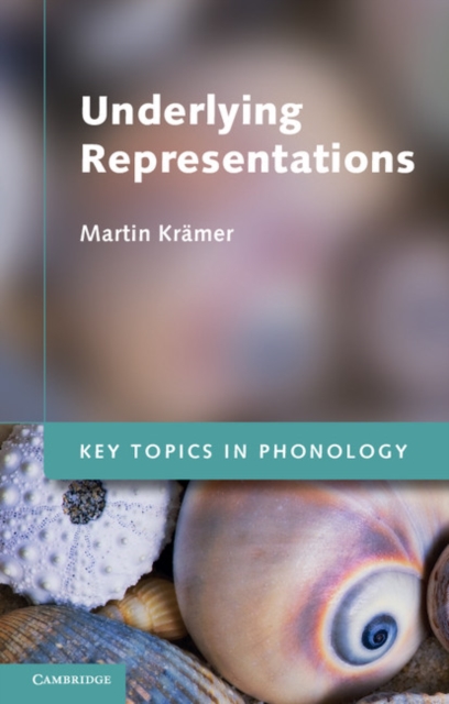 Underlying Representations, Paperback / softback Book
