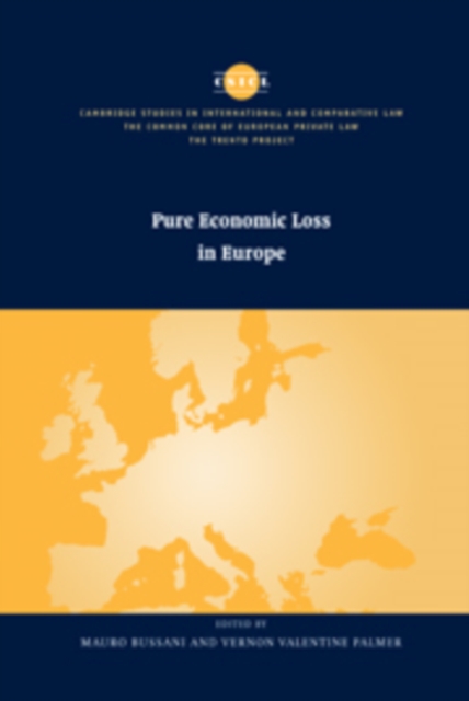 Pure Economic Loss in Europe, Paperback / softback Book