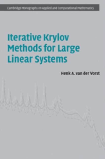 Iterative Krylov Methods for Large Linear Systems, Paperback / softback Book