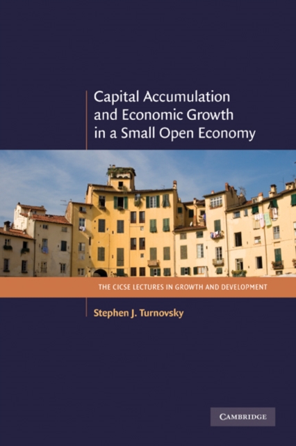Capital Accumulation and Economic Growth in a Small Open Economy, Paperback / softback Book