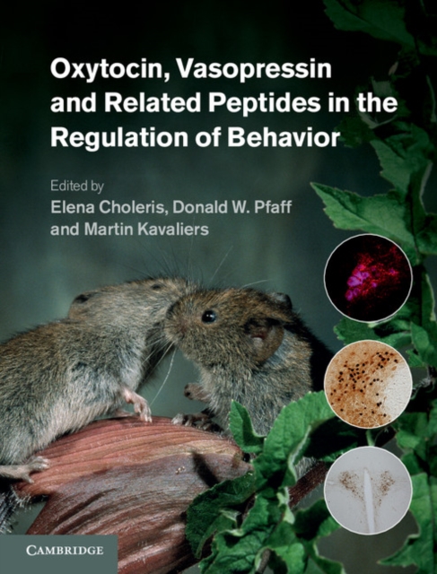 Oxytocin, Vasopressin and Related Peptides in the Regulation of Behavior, Hardback Book