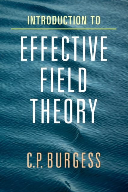 Introduction to Effective Field Theory : Thinking Effectively about Hierarchies of Scale, Hardback Book