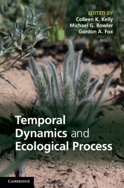 Temporal Dynamics and Ecological Process, Hardback Book