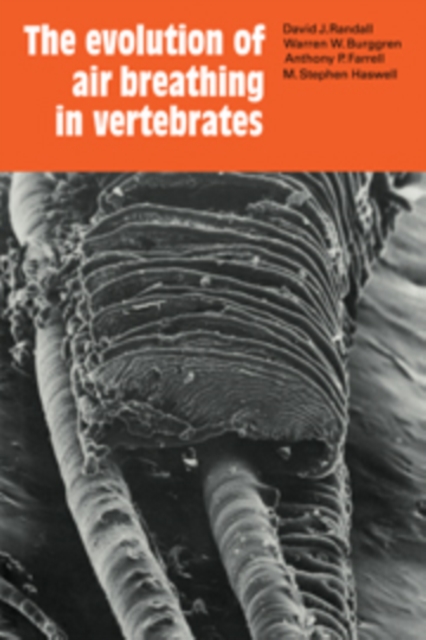 The Evolution of Air Breathing in Vertebrates, Hardback Book