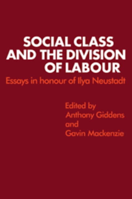Social Class and the Division of Labour : Essays in Honour of Ilya Neustadt, Hardback Book