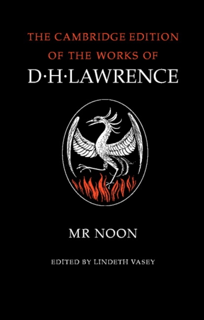 Mr Noon, Paperback / softback Book