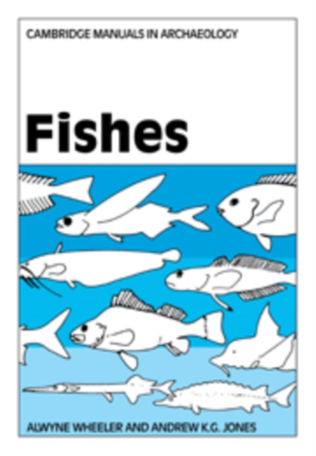 Fishes, Hardback Book