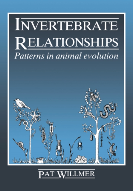 Invertebrate Relationships : Patterns in Animal Evolution, Paperback / softback Book
