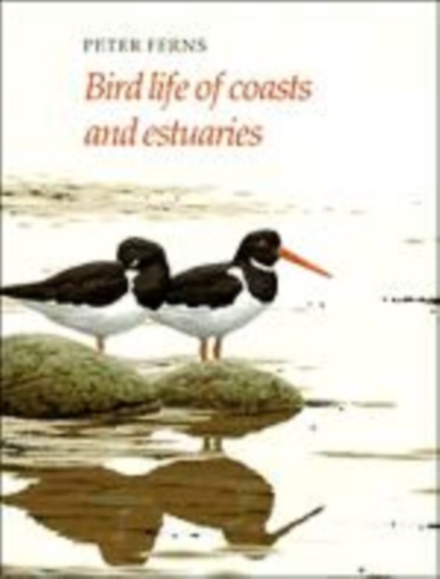Bird Life of Coasts and Estuaries, Hardback Book