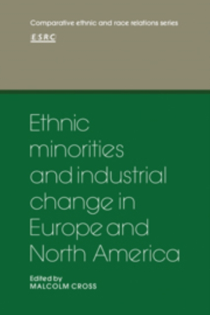 Ethnic Minorities and Industrial Change in Europe and North America, Hardback Book