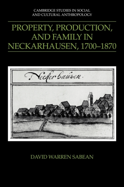 Property, Production, and Family in Neckarhausen, 1700-1870, Paperback / softback Book