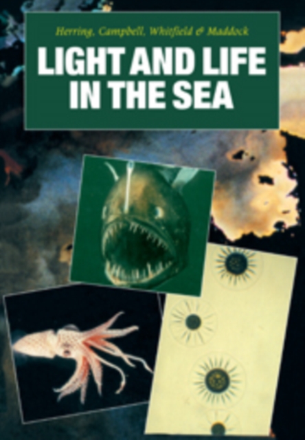 Light and Life in the Sea, Hardback Book