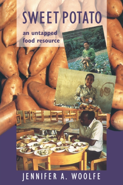 Sweet Potato : An Untapped Food Resource, Hardback Book