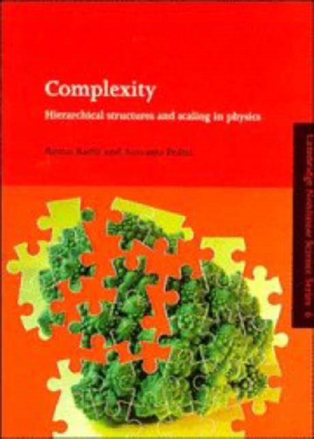 Complexity : Hierarchical Structures and Scaling in Physics, Hardback Book