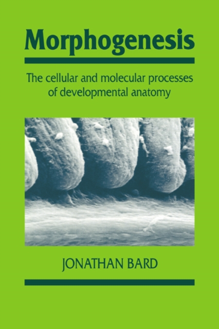 Morphogenesis : The Cellular and Molecular Processes of Developmental Anatomy, Paperback / softback Book