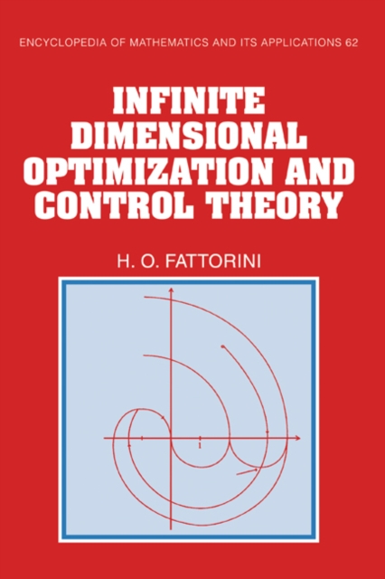Infinite Dimensional Optimization and Control Theory, Hardback Book