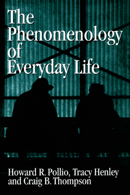 The Phenomenology of Everyday Life : Empirical Investigations of Human Experience, Hardback Book