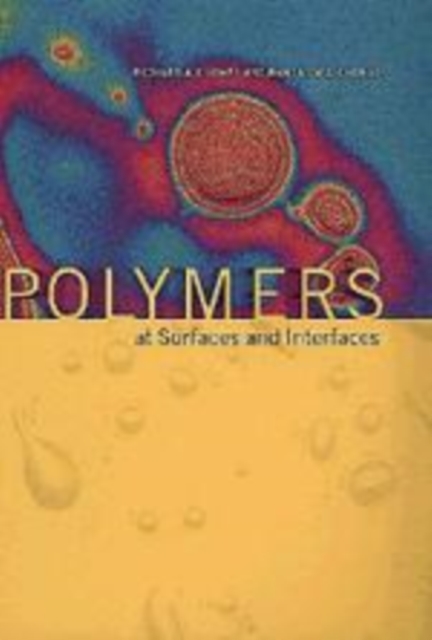 Polymers at Surfaces and Interfaces, Hardback Book