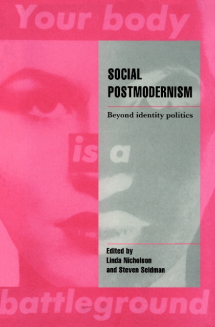 Social Postmodernism : Beyond Identity Politics, Paperback / softback Book