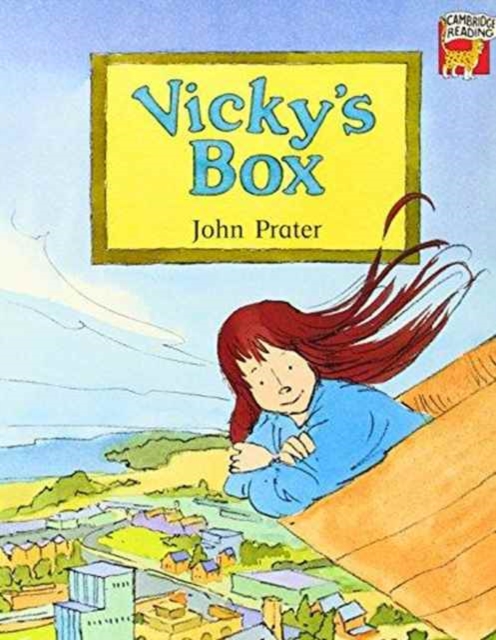 Vicky's Box, Paperback Book