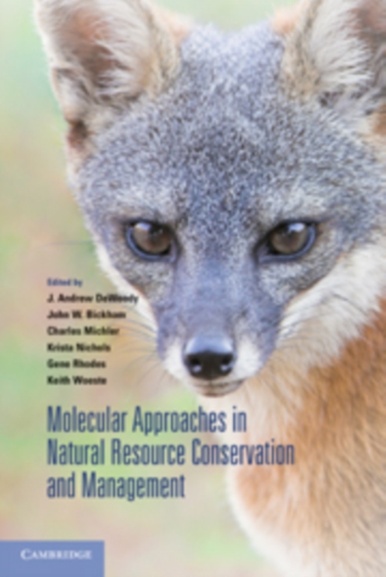 Molecular Approaches in Natural Resource Conservation and Management, Hardback Book