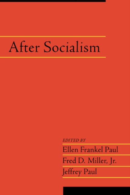 After Socialism: Volume 20, Part 1, Paperback / softback Book