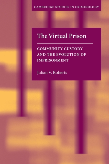 The Virtual Prison : Community Custody and the Evolution of Imprisonment, Paperback / softback Book