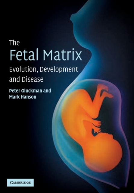 The Fetal Matrix: Evolution, Development and Disease, Paperback / softback Book