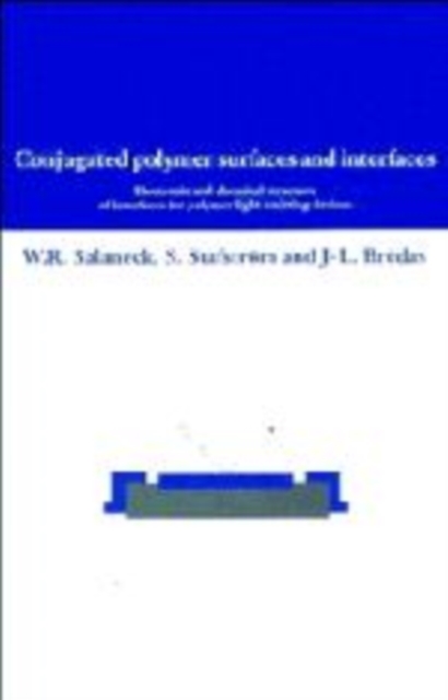 Conjugated Polymer Surfaces and Interfaces : Electronic and Chemical Structure of Interfaces for Polymer Light Emitting Devices, Paperback / softback Book