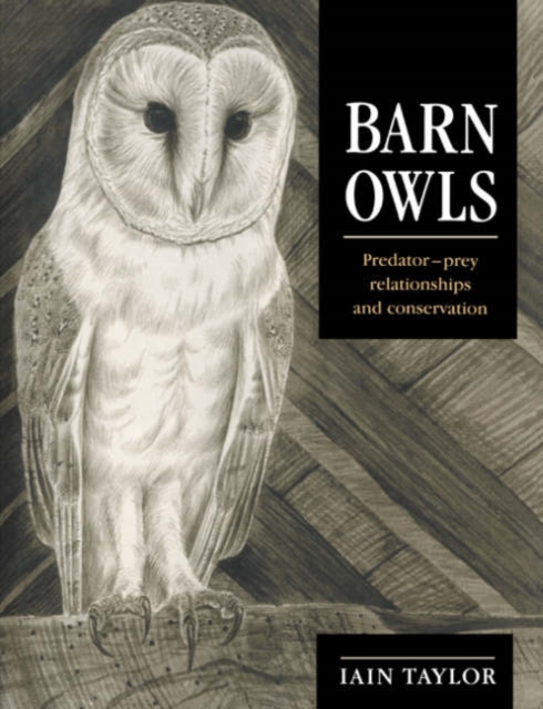Barn Owls : Predator-Prey Relationships and Conservation, Paperback / softback Book