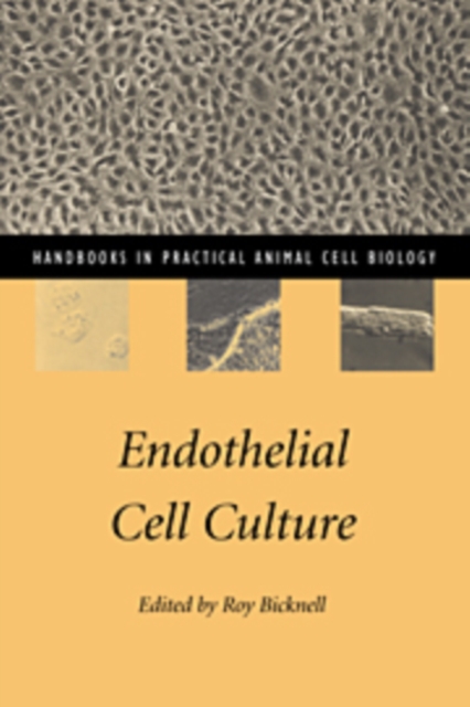 Endothelial Cell Culture, Hardback Book
