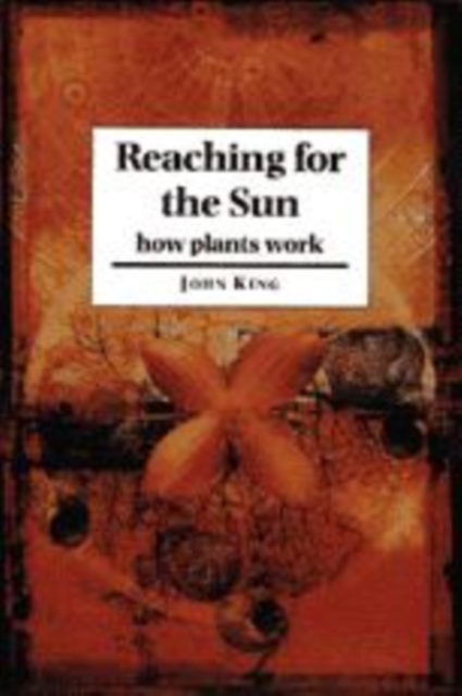 Reaching for the Sun : How Plants Work, Hardback Book