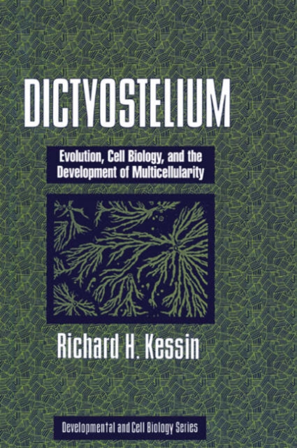 Dictyostelium : Evolution, Cell Biology, and the Development of Multicellularity, Hardback Book