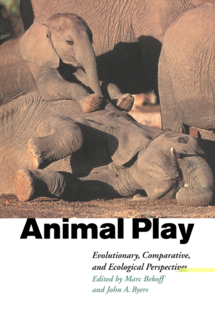 Animal Play : Evolutionary, Comparative and Ecological Perspectives, Paperback / softback Book