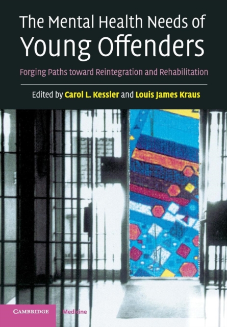 The Mental Health Needs of Young Offenders : Forging Paths toward Reintegration and Rehabilitation, Paperback / softback Book