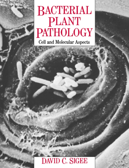 Bacterial Plant Pathology : Cell and Molecular Aspects, Paperback / softback Book