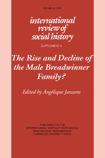 The Rise and Decline of the Male Breadwinner Family? : Studies in Gendered Patterns of Labour Division and Household Organisation, Paperback / softback Book