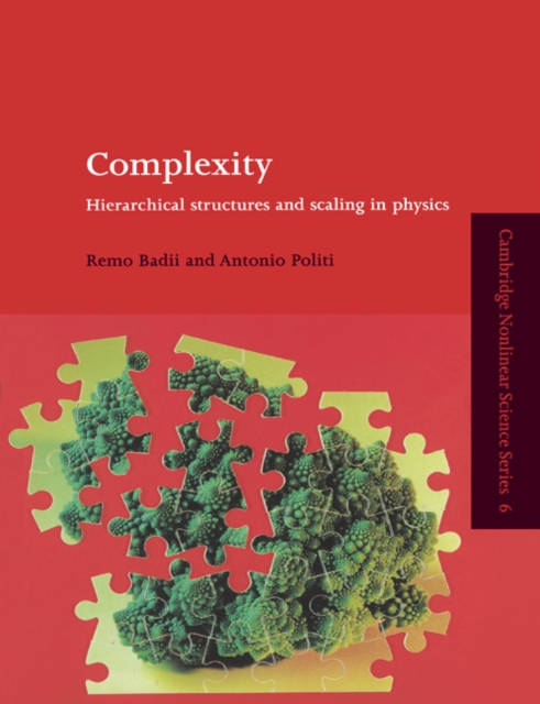 Complexity : Hierarchical Structures and Scaling in Physics, Paperback / softback Book