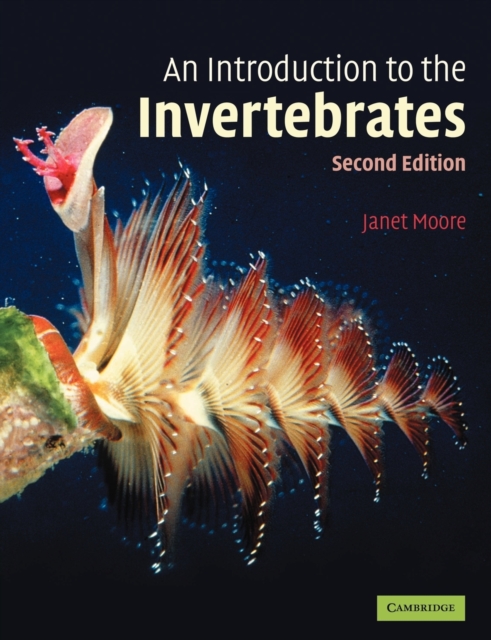 An Introduction to the Invertebrates, Paperback / softback Book