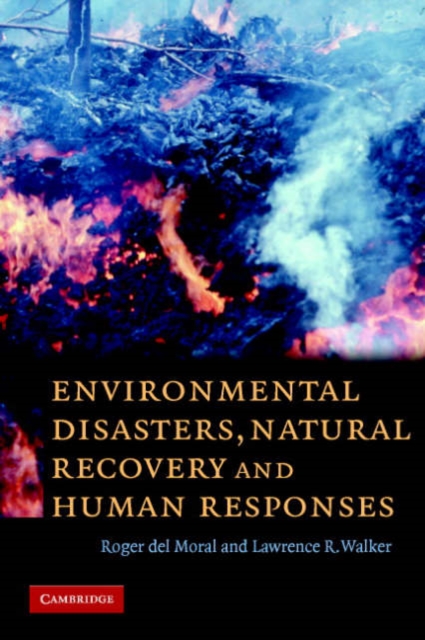 Environmental Disasters, Natural Recovery and Human Responses, Paperback / softback Book