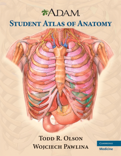 A.D.A.M. Student Atlas of Anatomy, Paperback / softback Book