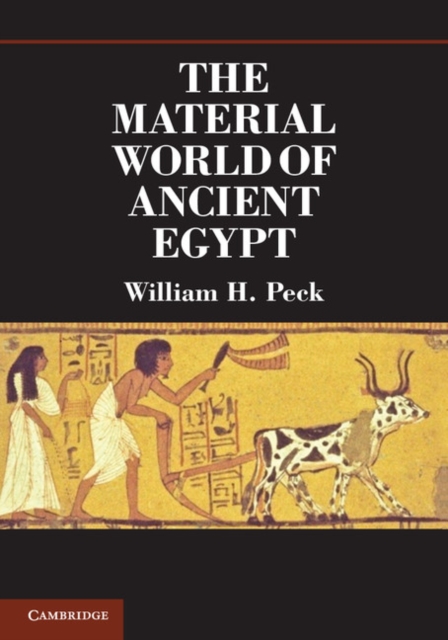 The Material World of Ancient Egypt, Paperback / softback Book