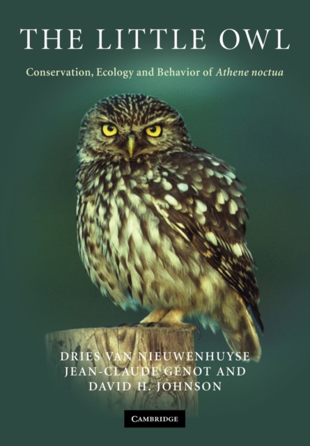 The Little Owl : Conservation, Ecology and Behavior of Athene Noctua, Paperback / softback Book