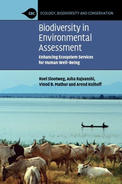 Biodiversity in Environmental Assessment : Enhancing Ecosystem Services for Human Well-Being, Paperback / softback Book